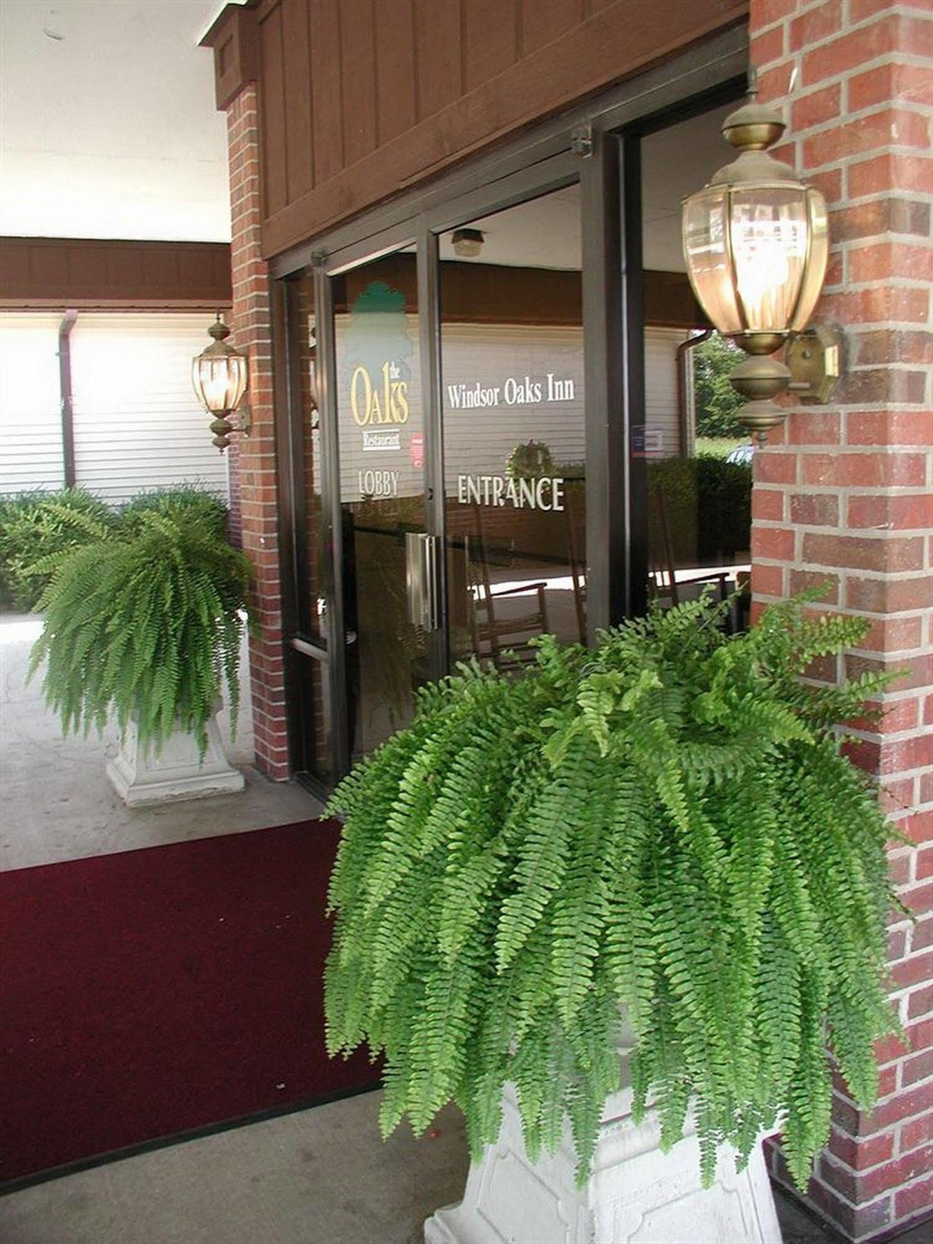 Windsor Oaks Inn Grayville Exterior photo